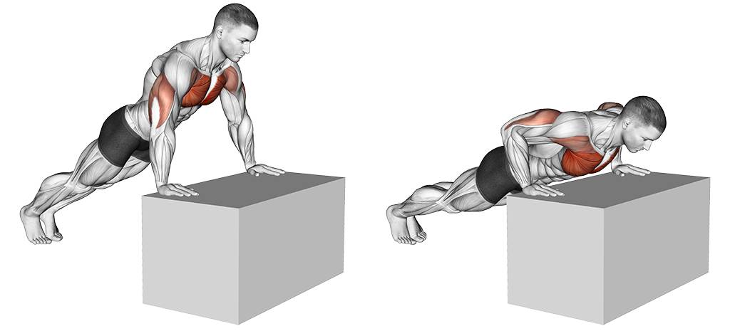 Pushups For Lower Chest