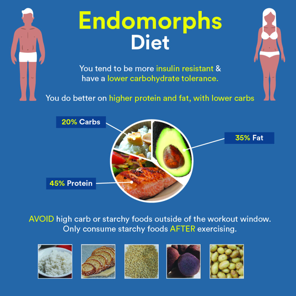 Endomorph Workout Plan What Is The Best Exercises For Endomorphs